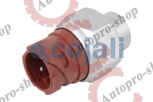 2260257 Датчик давления MAN