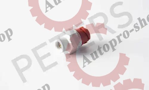 08000000A Датчик давления воздуха 48,5 x O20 x M12x1,5