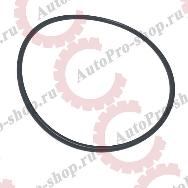 02.5678.00.00 Кольцо уплотнительное шабы упорной сальника ступицы 100х3  BPW ECO   