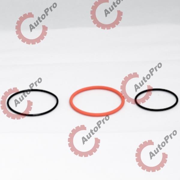 M-4025062 К-т колец форсунки CUM ISX MC BEE