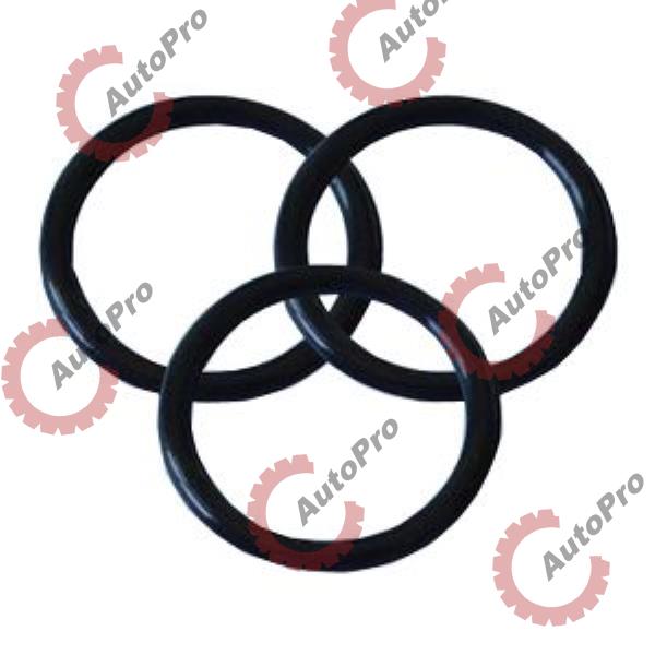 DSG-3029847 Кольцо уплот.трубки масленного насоса CUM 14 (кругл.сеч) DSG