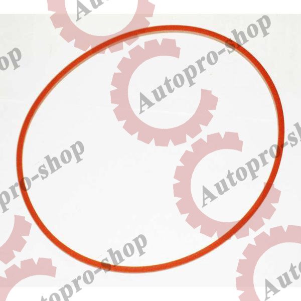 Z015-001-34702 Кольцо форсунки DD (красные)  (Q6)  ZSP