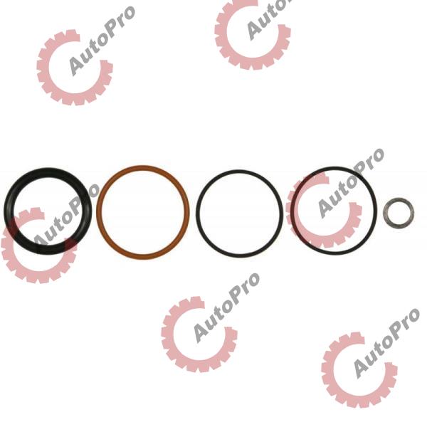 MCBS60INJ К-т колец на форсунку DD (с мочалкой) MC BEE