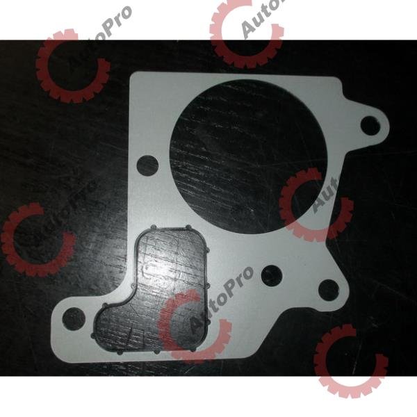 DSG-3682673 Прокладка крышки корпуса термостатов ISX EGR DSG