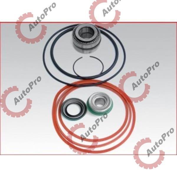 A-23529962 Ремкомплект помпы DDE McBee