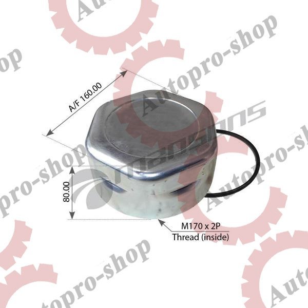 100555 Крышка ступицы  М170х2/SW160  GIGANT   MANSONS