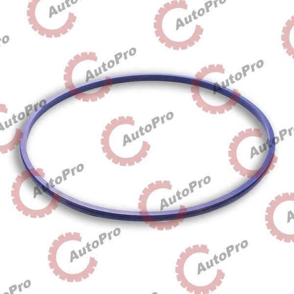 8929176-FP Кольцо уплонительное гильзы нижнее (круглое 12шт) DD FP