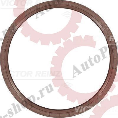 813520600 Сальник вала коленчатого задн. 180*205*15 D/DH12/13/DXI12 Volvo FH/FM/RVI Magnum DXI12