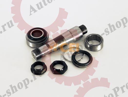 230.076 Ремкомплект шкворня (1 сторона) VOLVO FM\FH    CEI