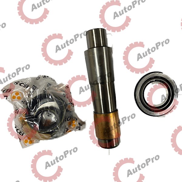 230.013 Ремкомплект шкворня (1 сторона) SCANIA  CEI