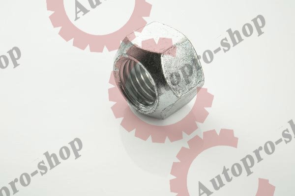 070.257-00A Гайка болта амортизатора  M20X2,5хH20 SCANIA  PE