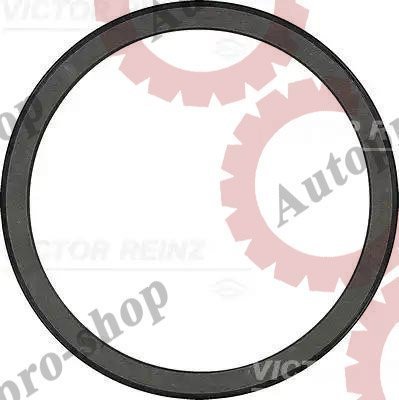 813520610 Сальник 180x205x15 коленвала Volvo D12A,C,D задний