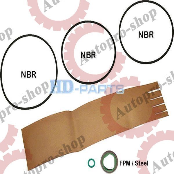 301360 Ремкомплект центрифуги  SCANIA        HD