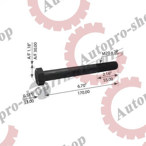 780.020  Болт амортизатора! М20х2x55 L=170  SCHMITZ  MANSONS