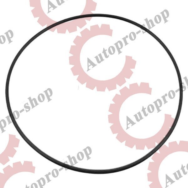 407664200 Кольцо ступицы уплотнительное 269*6 MAN/MB