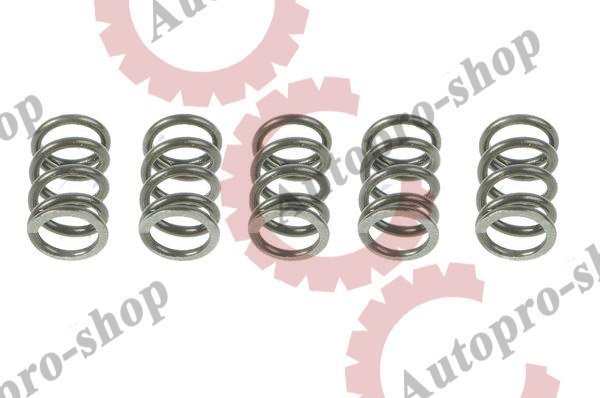 56170491 Пружина прижимная бортового редуктора MAN   EURORICAMBI