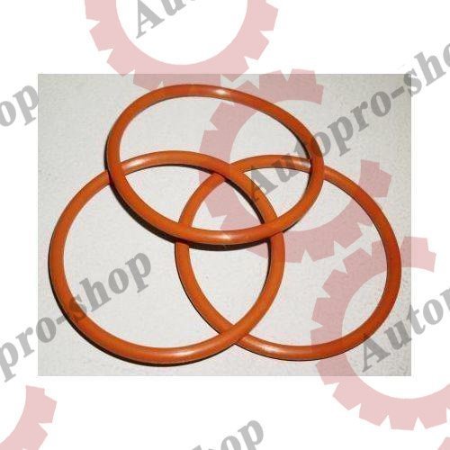 5234702 Кольцо форсунки DD (красные) BIGOAL (Q6)