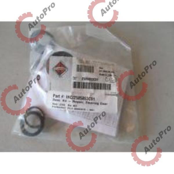 2585853C91 Ремкомплект ГУР М100 (сальн.вход.вала) 