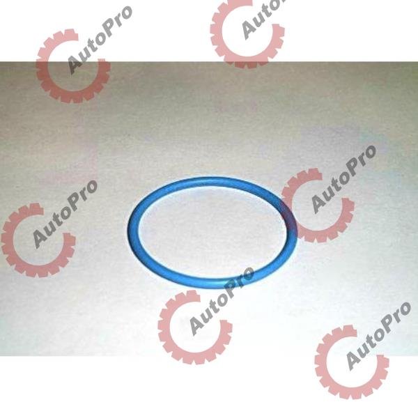 M-3070138 Кольцо форсунки (синее) САМ-11/14 МсВее